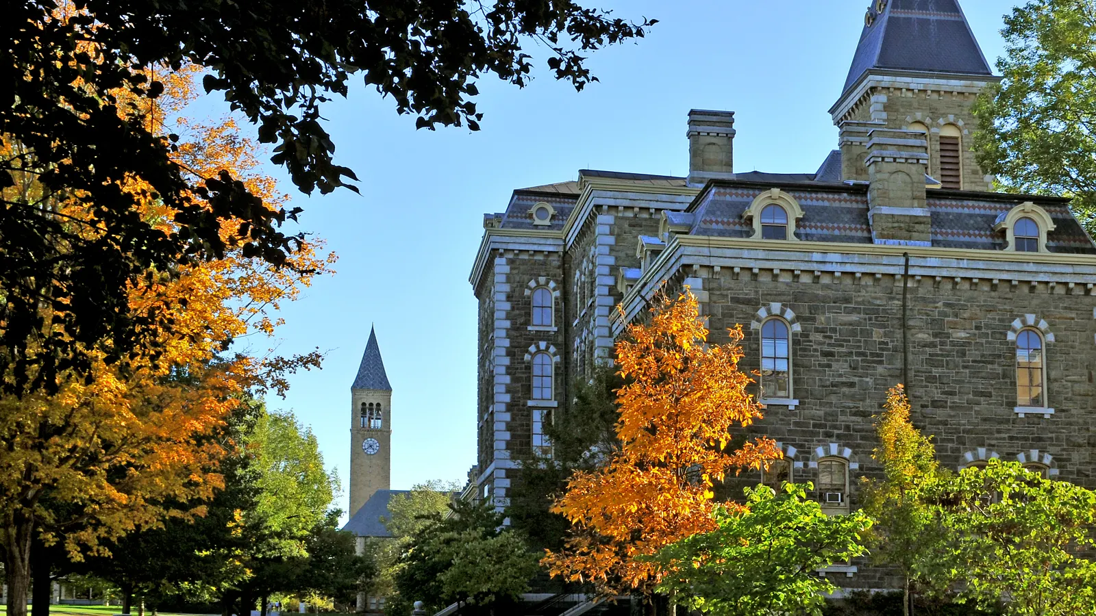 McGraw Tower seen past a stone hall and autumn trees on the Arts Quad at Cornell University in Ithaca, New York