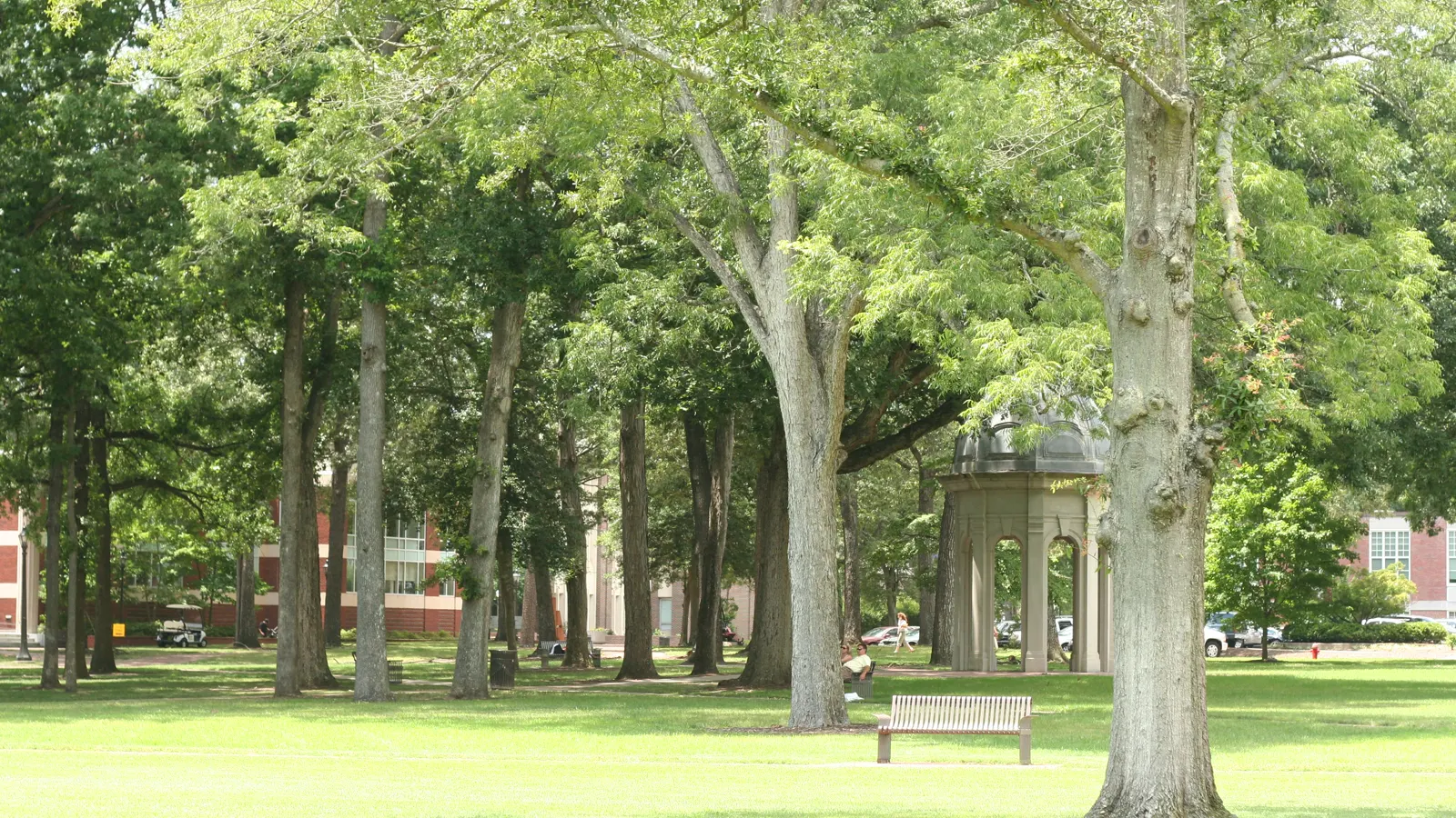 The campus lawn at East Carolina University in Greenville, North Carolina, with tall shade trees and the domed cupola