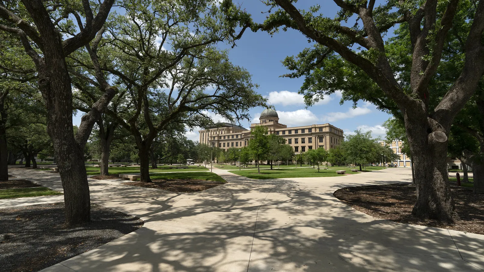 The domed Academic Building at Texas A&M University seen past live oaks and campus walkways