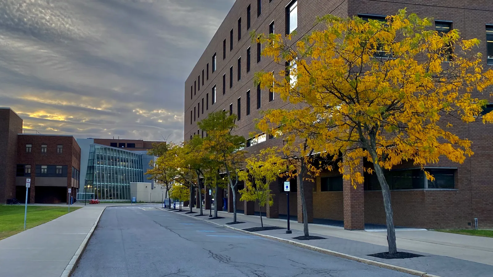 Autumn trees and campus buildings on the University at Buffalo North Campus in Amherst, New York