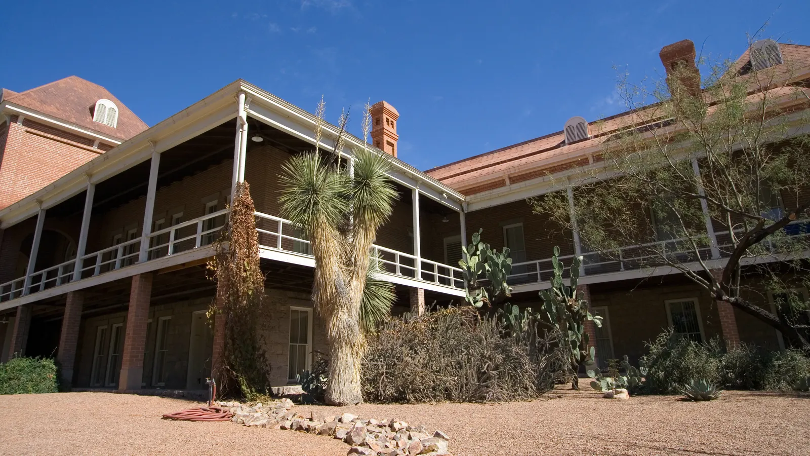 Old Main, a red brick building with a two-story porch among desert plants at the University of Arizona
