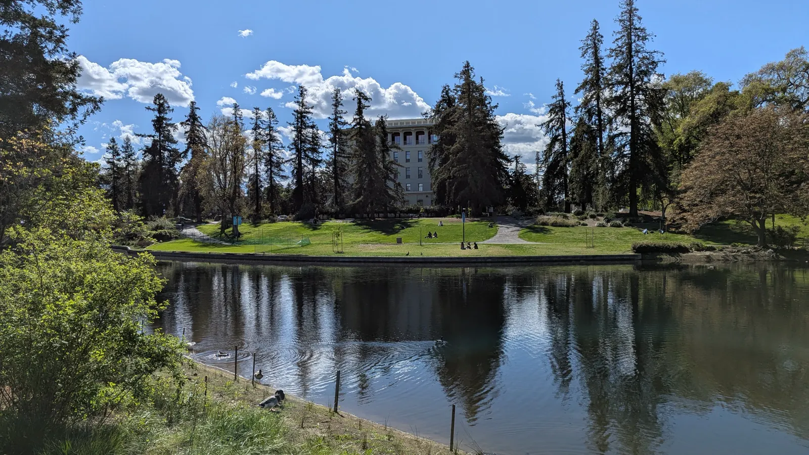 Mrak Hall seen across Lake Spafford in the Arboretum at UC Davis in Davis, California