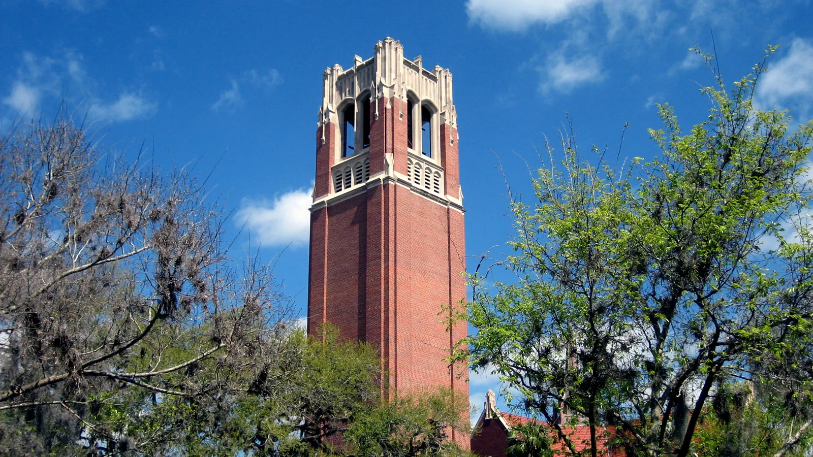 Century Tower, a red brick bell tower, rising above trees on the University of Florida campus in Gainesville