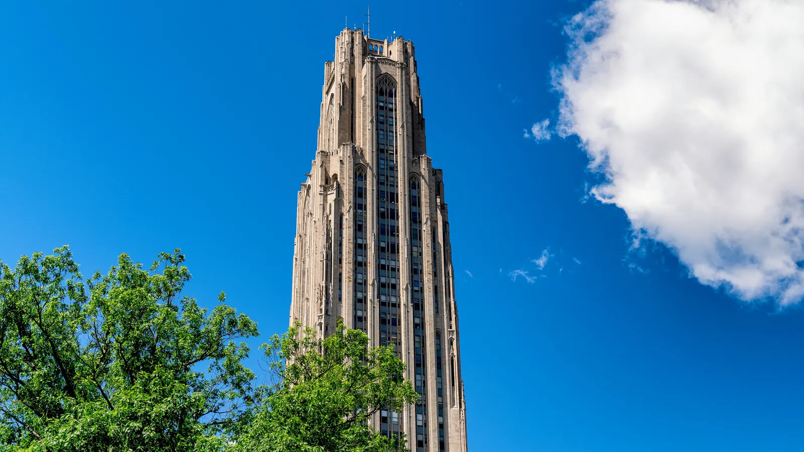 The Cathedral of Learning rising above the trees against a clear blue sky at the University of Pittsburgh