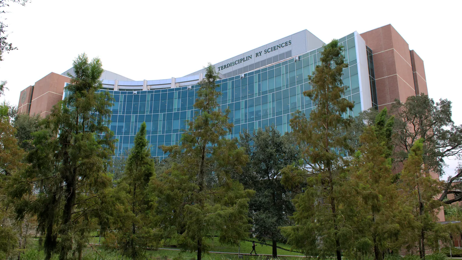 The Interdisciplinary Sciences Building behind cypress trees on the University of South Florida campus in Tampa